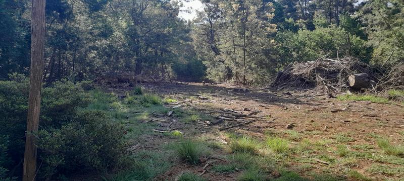 0 Bedroom Property for Sale in Hogsback Eastern Cape